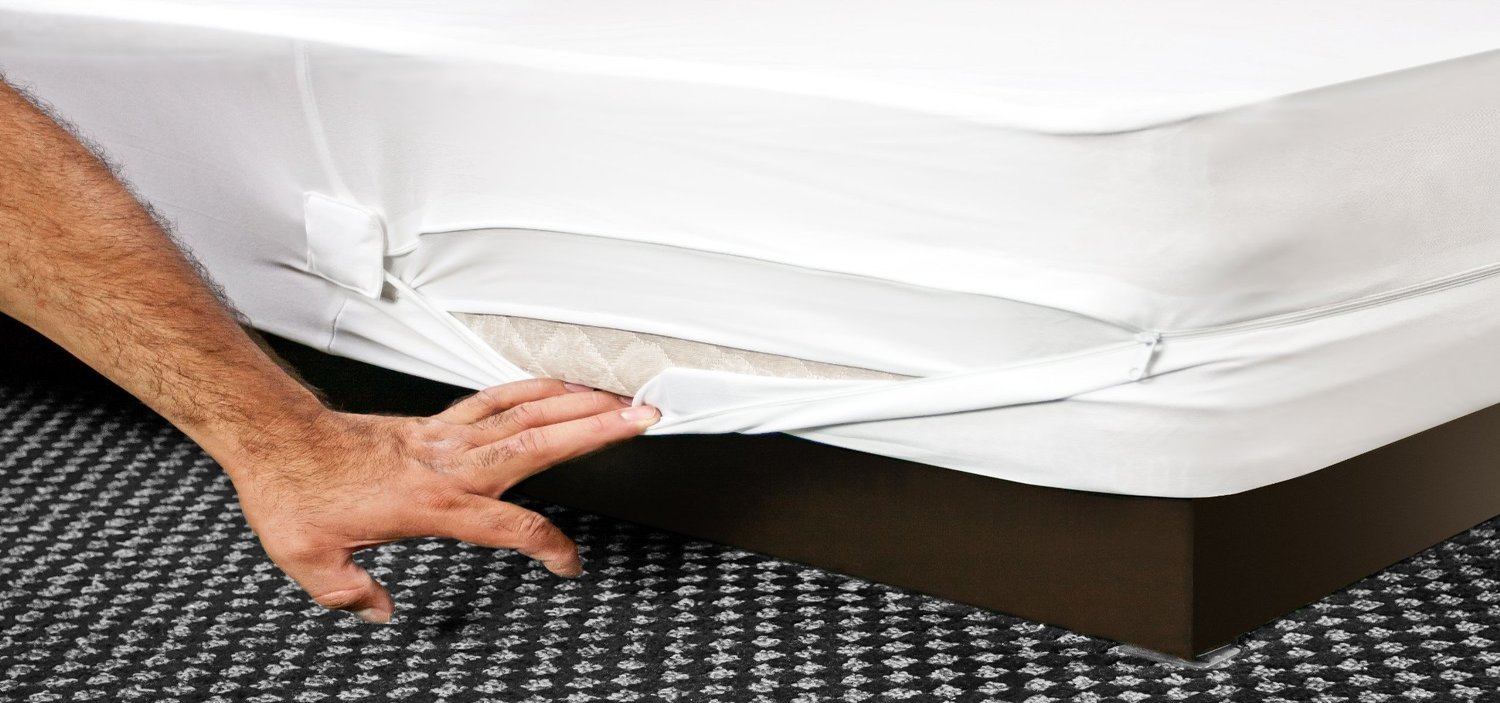 safe rest mattress protector bed bugs