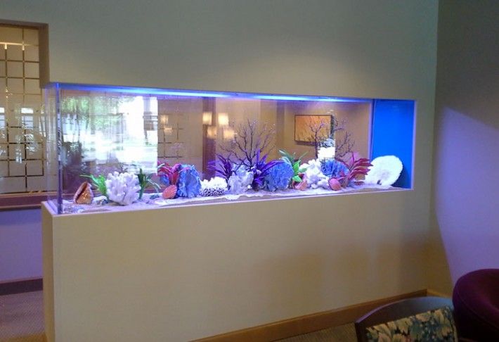 aquarium accessories online, aquarium plants online, marine aquarium supplies and aquarium products online