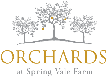Orchard at springvale Farm
