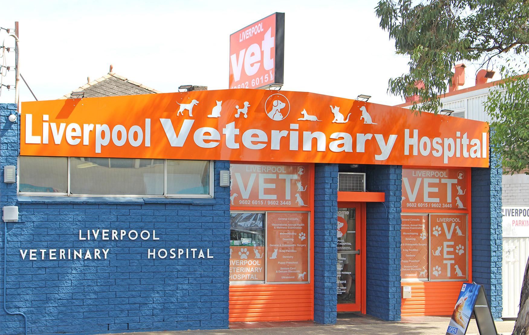 Liverpool Veterinary Hospital